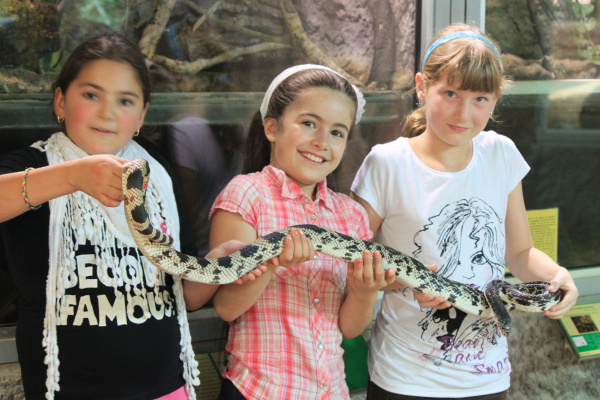 img-138333-Jugendcafe_Reptilium 2011.jpg